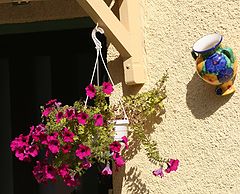 фото "the summer's door"