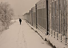 photo "***"