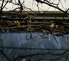 photo "***"