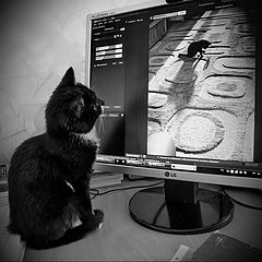 фото "Неужели это Я?"