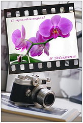 photo "***"
