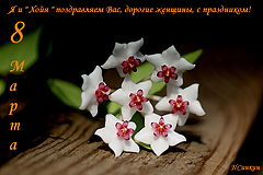 photo "***"