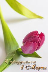фото "С Праздником"