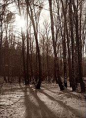 photo "Light and shadow"