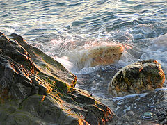 photo "***"