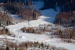 фото "Сезон в разгаре"