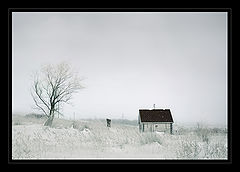 photo "***"