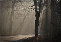 photo "***"