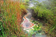 фото "Hot spring"