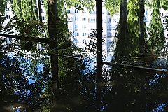 photo "***"