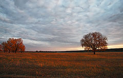 photo "***"