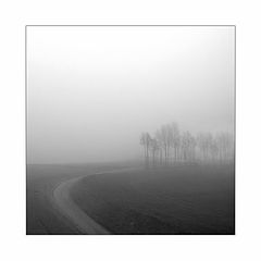photo "***"