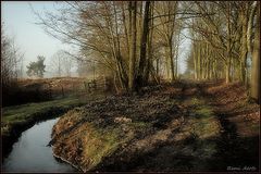 photo "***"