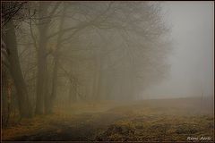 photo "***"