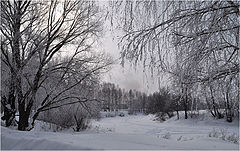 фото "Снежный март"