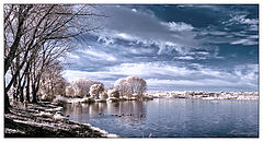 photo "Infrared"