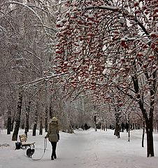 photo "The young lady with a dog"