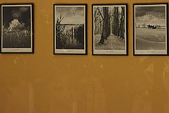 photo "***"