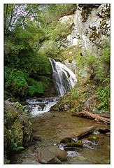 photo "Altay's rivers"