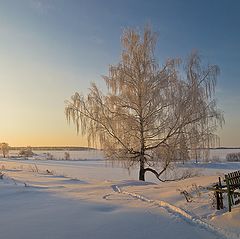 фото "В ожидании весны..."