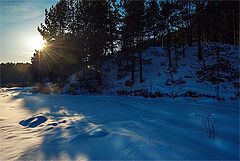 photo "Early spring"