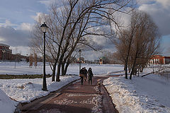photo "***"