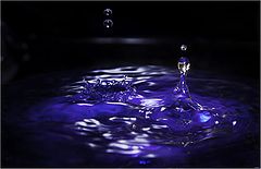 photo "Drops"