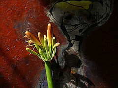 photo "***"