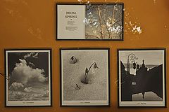 photo "***"
