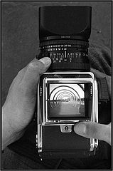 photo "B/W Motive"