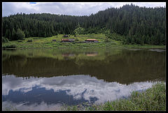 photo "0178_0117"