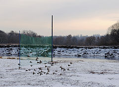 фото "Городской пляж зимой. Брянск. 2011г."