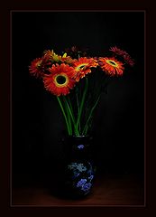 photo "***"