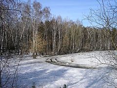 photo "spring has come!"