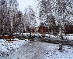 photo "7 degrees above zero ..."