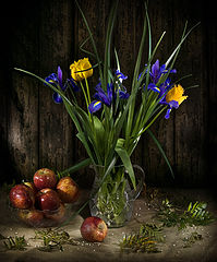 photo "Still life with irises"