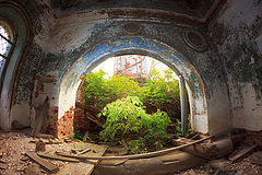 фото "О жизни и смерти"