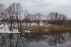 фото "Весна."