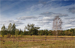 фото "За околицей"