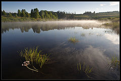 photo "Morning / 0186_0065"