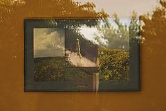 photo "***"