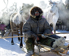фото "Оленевод"