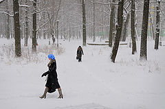 фото "*** ( Городской парк зимой)"