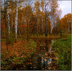 фото "Осень в Сокольниках"