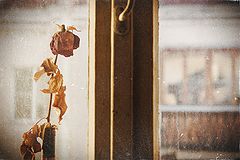 photo "***"