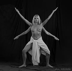 photo "кривицкий"