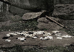 фото "обед."