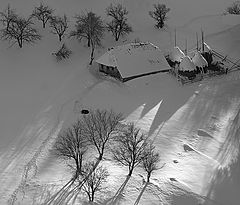 фото "Winter"