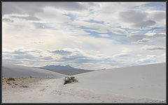 photo "Many white and  a few blue hues"