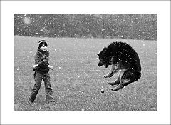 photo "***"